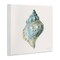 Stupell Industries Coastal Bliss Conch Shell Wall Plaque, design by Danhui Nai